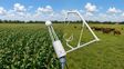 Emisiones de carbono en el agro: ¿Por qué a la ganadería pampeana le va mejor que a la agricultura?
