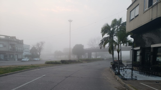 El domingo amaneció con mucha niebla en la ciudad