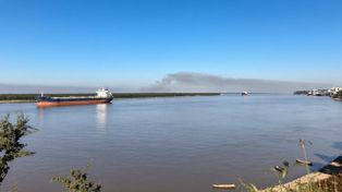 Incendios en las islas: San Lorenzo presentó una nueva denuncia penal