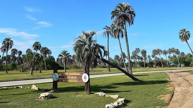 Subas en los Parques Nacionales: cuánto cuesta visitar El Palmar
