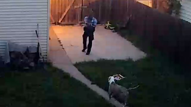 Polémica mundial por un policía que le dispara a dos perros en legítima defensa