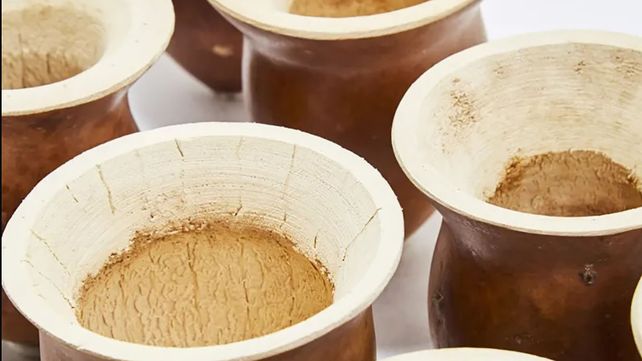 Investigadores hallaron una asociación entre el consumo de mate y mayor densidad ósea en mujeres posmenopáusicas