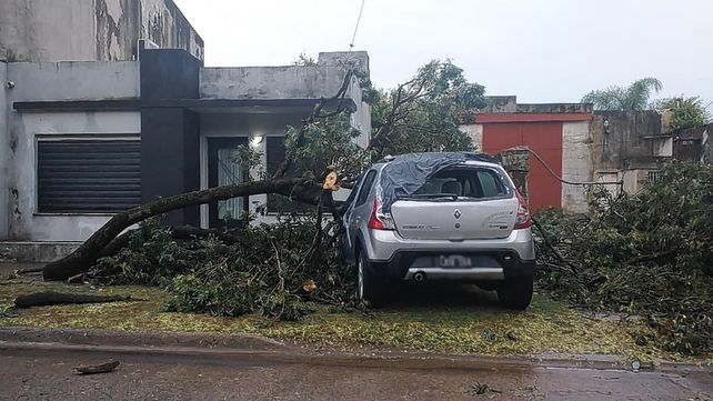 Fuerte tormenta en Venado Tuerto dejó 145 árboles caídos