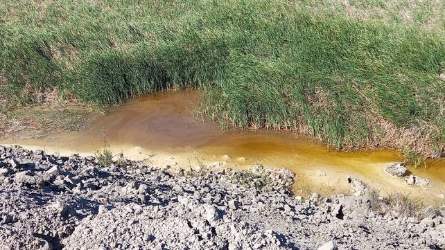 Imagen capturada de líquidos vertidos al curso del río Paraná y lagunas linderas a la fábrica metalúrgica.