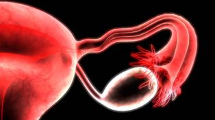 Prueban por primera vez que Covid-19 afecta negativamente la función ovárica en mujeres