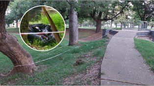 El lugar donde se encontraron las bolsas con parte del cuerpo de un hombre en la plaza Escalante en barrio Fomento 9 de Julio&nbsp;