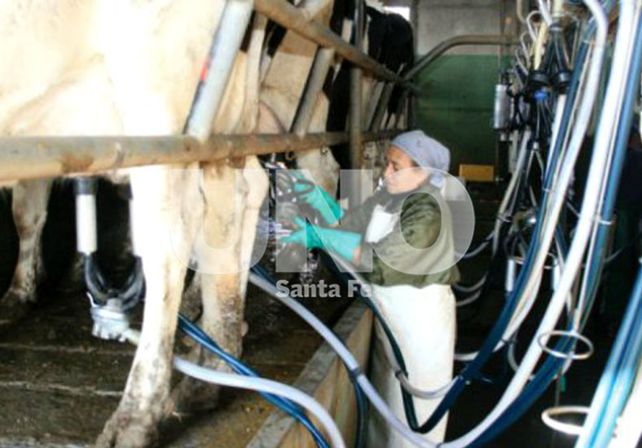 El gobierno provincial asistirá a productores tamberos santafesinos.