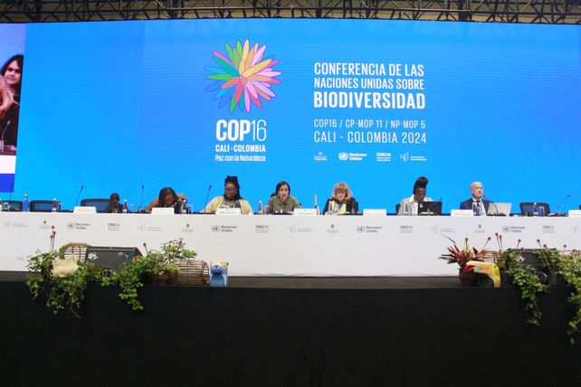 COP16 de Biodiversidad: tras dos semanas de negociaciones quedaron luces y sombras