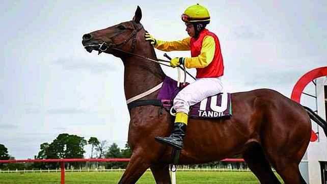 Pura sangre, una jockey que deja rastro