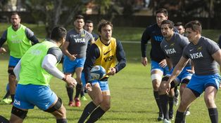 Dos bajas en el plantel de Los Pumas