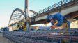 Nuevo puente Santa Fe-Santo Tomé. Arrancó la colocación de las 43 pilas para los 136 pilotes que sostendrán la estructura del viaducto.