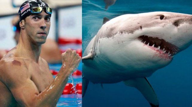 ¡Mamita! El curioso desafío entre Michael Phelps y un tiburón blanco