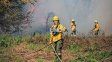 Santa Fe, Buenos Aires y Entre Ríos avanzan en protocolos conjuntos para combatir incendios en el delta del Paraná