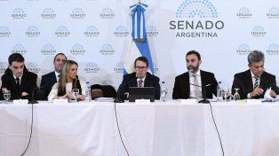 Ley Bases: hay dudas de que se apruebe para el Pacto de Mayo