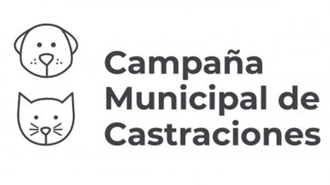 &nbsp;Con dos puestos móviles