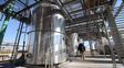 La larga agonía de la producción de biodiesel