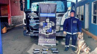 Detectaron kilos de cocaína ocultos en la cabina de un camión