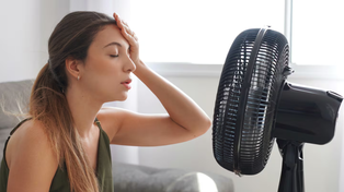 Ola de calor: cómo enfriar la casa en verano con tres pasos simples y sin usar el aire acondicionado
