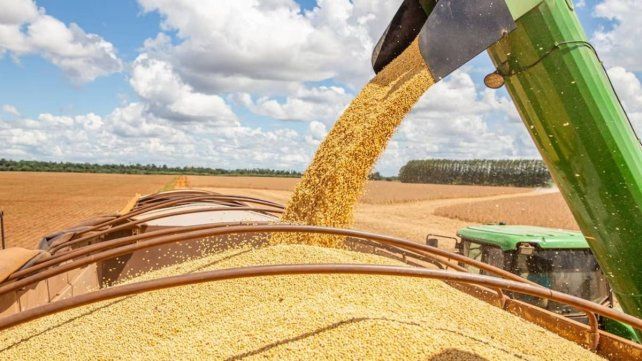Las retenciones cero fueron para 12 empresas exportadoras.&nbsp;