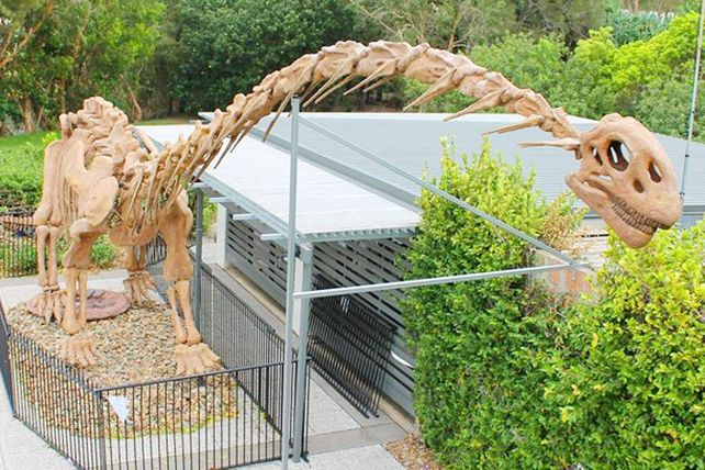Descubren claves de embriones de dinosaurio de hace 190 millones de años