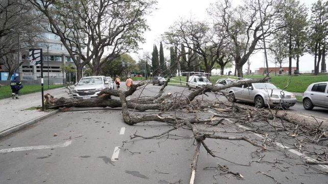 Alerta amarilla por vientos intensos para Rosario y varias localidades de la región