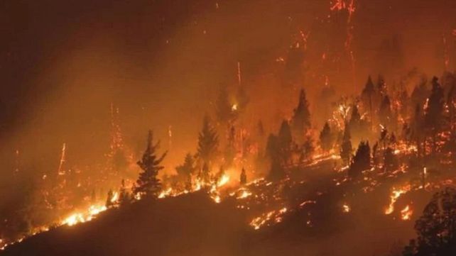 Declaran el estado de desastre ígneo por los incendios en la Patagonia