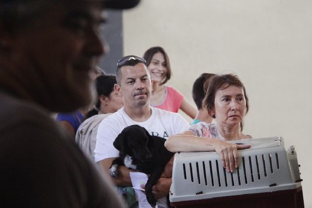 Llevan adelante una jornada especial de castración