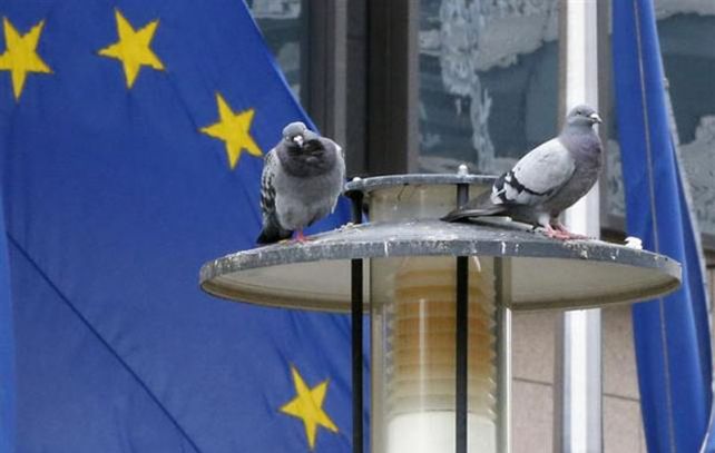 Nobel de la Paz para la UE por más de seis décadas sin guerras