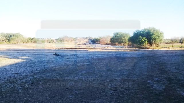 Los campos entrerrianos amanecieron con escarcha: ¿Cómo sigue el tiempo en Entre Ríos?