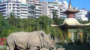 Cierran el zoo porteño y llevarán a rerservas del interior a 2 mil animales