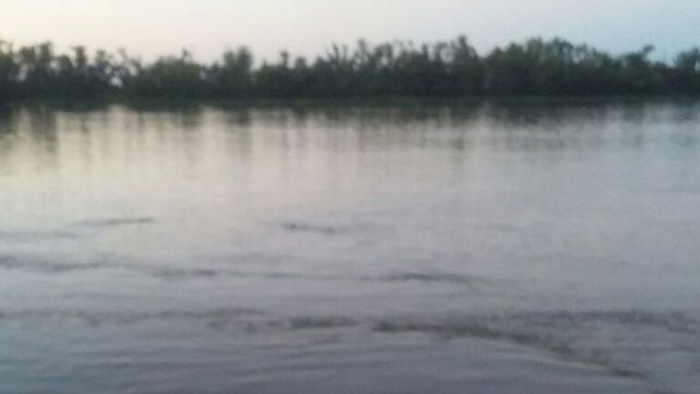 Tecnópolis dejó de ser la atracción y un animal en el río se llevó todas las miradas