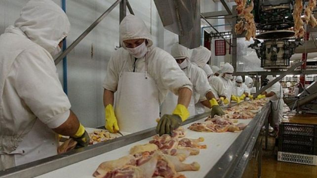 La industria avícola entrerriana suma aporte académico