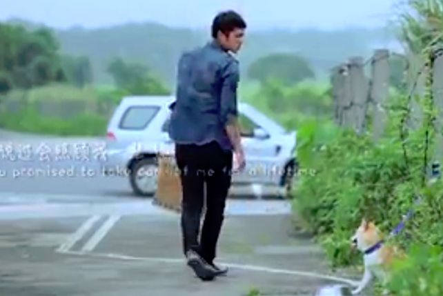 Si un perro le pudiese escribir una carta a las personas que lo abandonaron, ¿qué les diría?