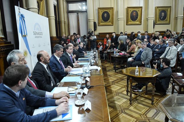 Los gobernadores peronistas en el Senado planteando la ampliación de la Corte Suprema de Justicia.