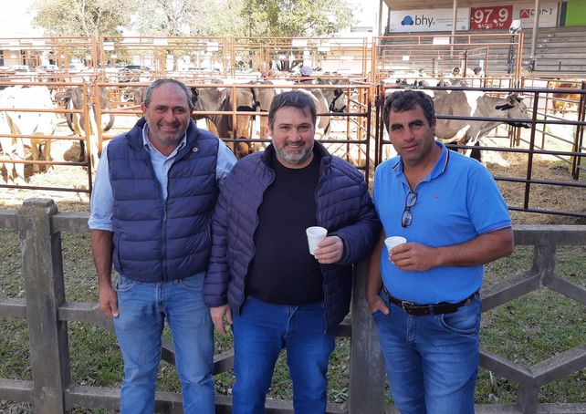 Criadores Fux