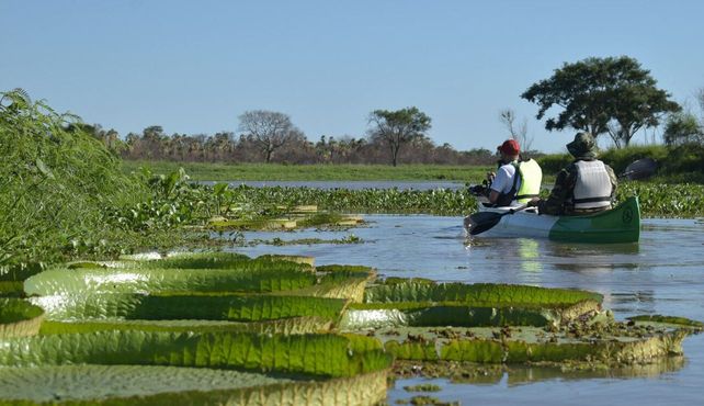 Jaaukanigás invita a hacer paseos en kayak