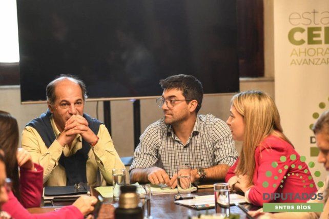 Continúa el debate por los terrenos frente al Patito Sirirí