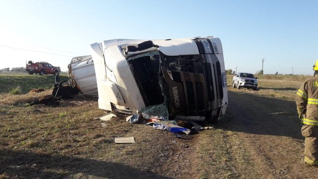 El dueño de la hacienda y del camión permitió a las 7 de la mañana que los vecinos se lleven los animales muertos en el accidente.