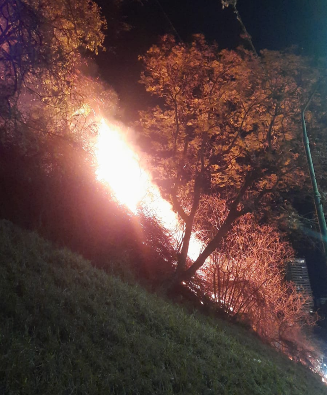 Incendio de pastizales y ramas en la barranca sobre avenida Belgrano