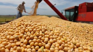 Las importaciones de las aduanas santafesinas crecieron más del 50% en el primer semestre