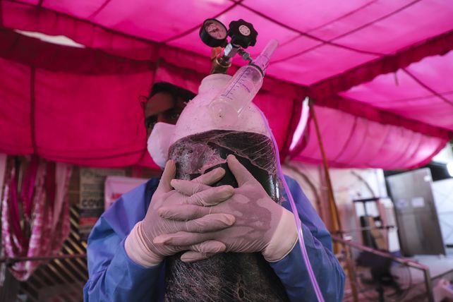 La OMS calificó como preocupante a la cepa de coronavirus descubierta en India
