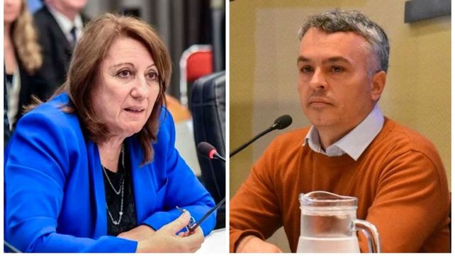 Los diputados socialistas Mónica Fein y Esteban Paulon van por la emergencia en seguridad al Congreso de la Nación.&nbsp;