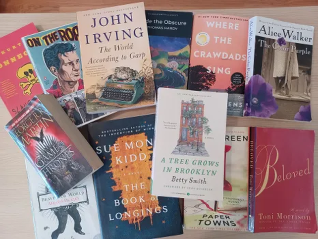 Algunos de los muchos cientos de libros que fueron prohibidos en el condado de Orange, Florida.