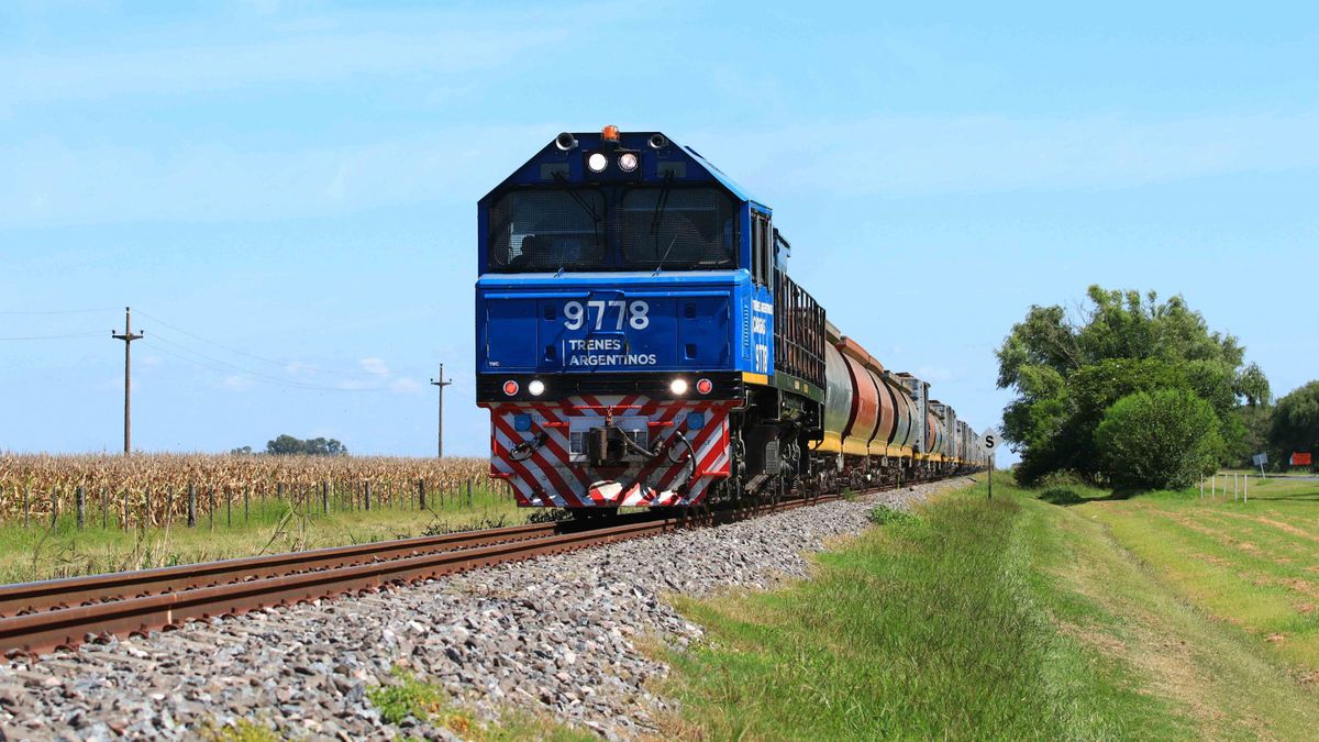 Trenes de carga: el catch-all de los mexicanos y el bisturí cerealero