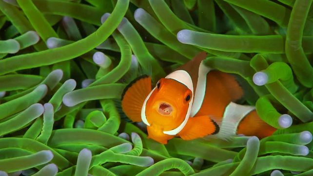 Imágenes que reflejan la maravillosa vida silvestre