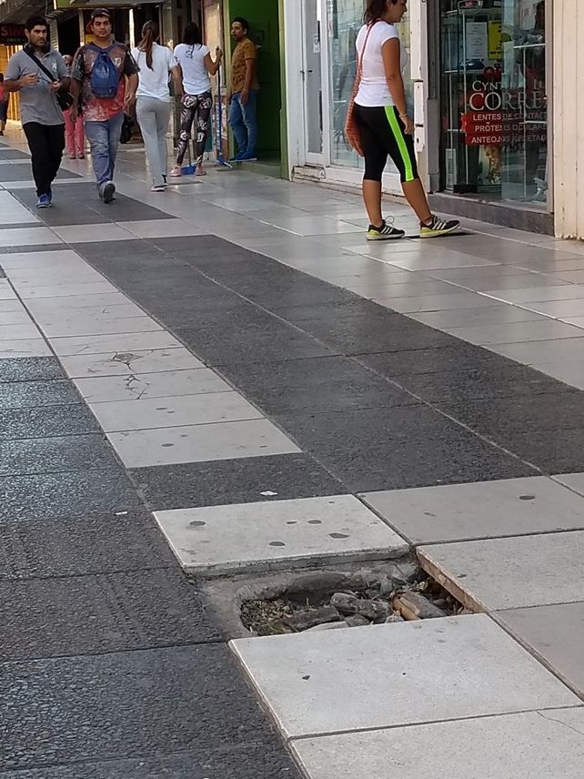 Metidas de pata