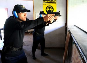 En 2014 hubo 560 denuncias por robo o extravío de armas de fuego