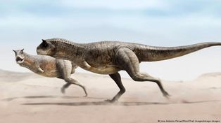 Científicos descubren en Argentina una nueva especie de dinosaurio sin brazos