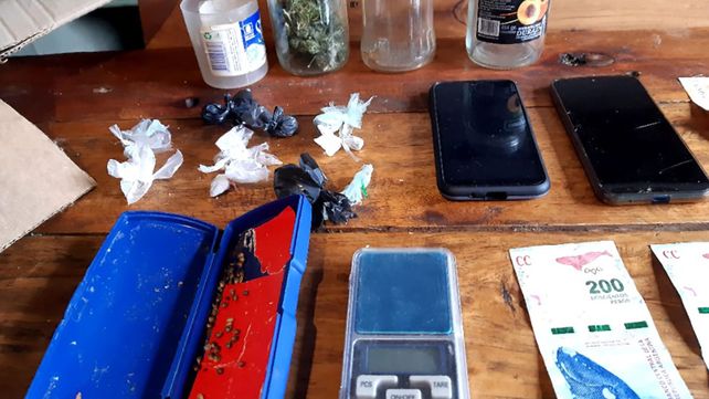 Paraná: encontraron plantas de marihuana de cuatro metros&nbsp;