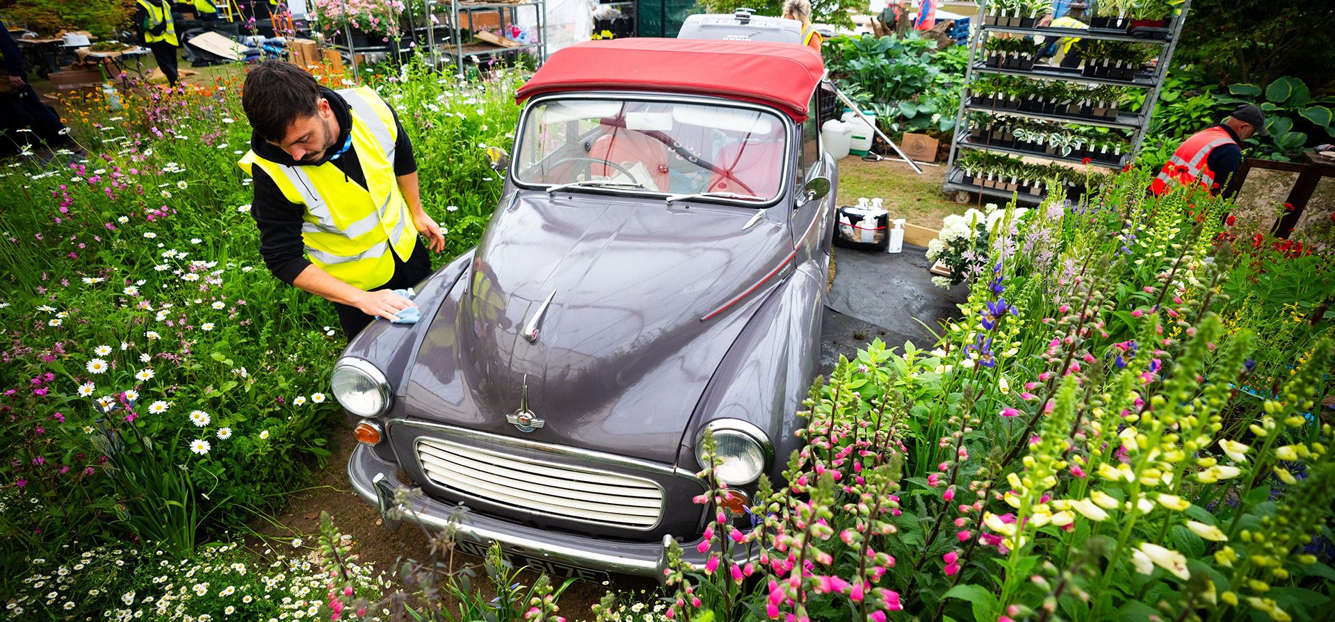Una persona limpia un Morris Minor durante una jornada de preparación en la Exposición Floral de Chelsea de la RHS, que abrirá sus puertas en el Royal Hospital Chelsea la próxima semana, en Londres, el viernes 15 de mayo de 2026. (James Manning/PA vía AP) Una persona limpia un Morris Minor durante una jornada de preparación en la Exposición Floral de Chelsea de la RHS, que abrirá sus puertas en el Royal Hospital Chelsea la próxima semana, en Londres, el viernes 15 de mayo de 2026. (James Manning/PA vía AP)